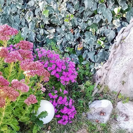 Tatil Evi In Stepcici - Istrien 45764